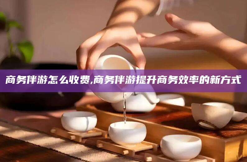 宜宾商务伴游怎么收费,商务伴游提升商务效率的新方式